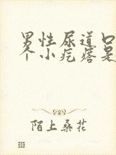 男性尿道口长一个小疙瘩是怎么回事儿