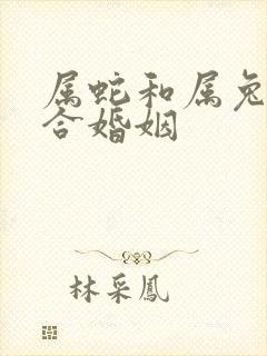 属蛇和属兔合不合婚姻