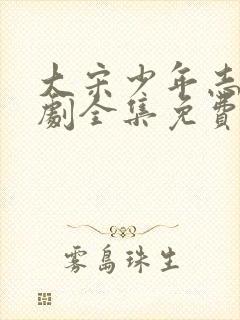 大宋少年志电视剧全集免费