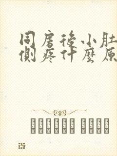 同房后小肚子左侧疼什么原因引起的