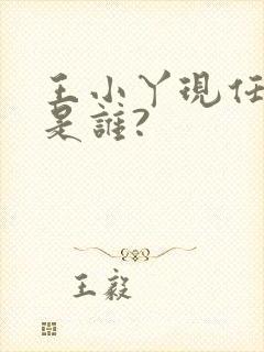 王小丫现任丈夫是谁?封面