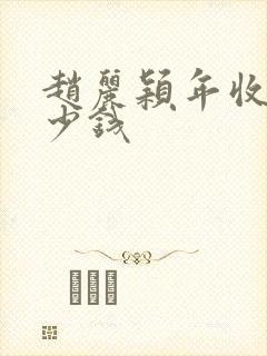 赵丽颖年收入多少钱