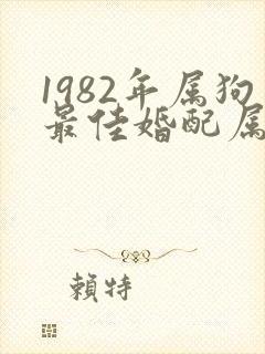 1982年属狗最佳婚配属相封面