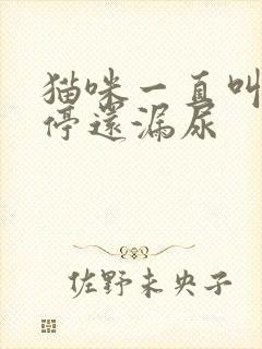 猫咪一直叫个不停还漏尿