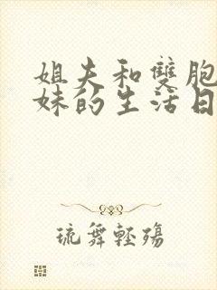 姐夫和双胞胎姐妹的生活日常小说全文封面