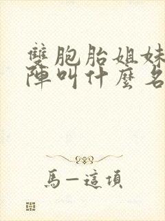 双胞胎姐妹齐上阵叫什么名