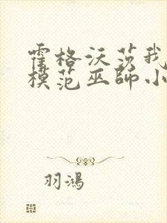 霍格沃茨我真是模范巫师小说