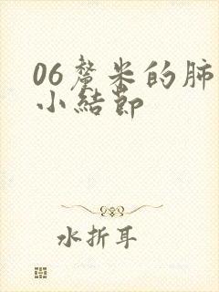 06厘米的肺上小结节封面