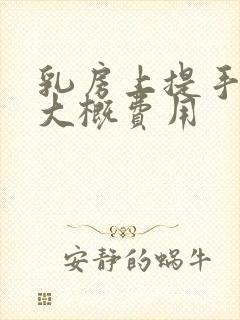 乳房上提手术的大概费用