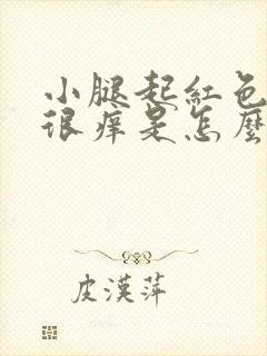 小腿起红色疙瘩很痒是怎么回事封面