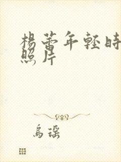 杨蕾年轻时候的照片