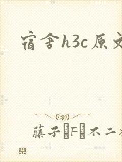 宿舍h3c原文封面