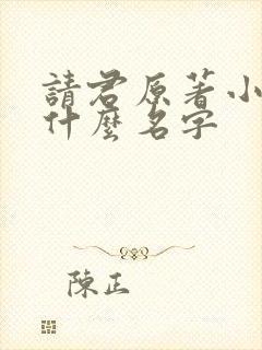 请君原著小说叫什么名字封面