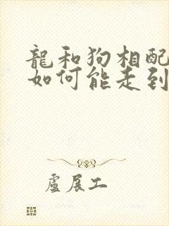 龙和狗相配婚姻如何能走到最后吗