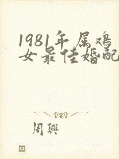1981年属鸡女最佳婚配属相封面