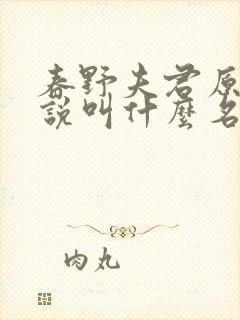 春野夫君原著小说叫什么名字啊封面