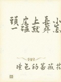 头皮上长小疙瘩一碰就疼怎么回事