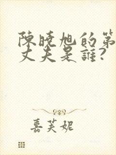 陈晓旭的第一任丈夫是谁?