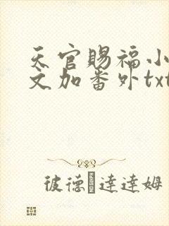 天官赐福小说全文加番外txt