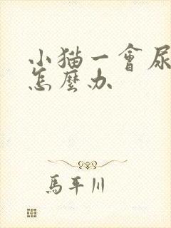 小猫一会尿一点怎么办封面