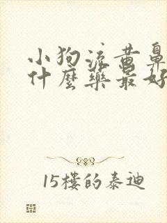 小狗流黄鼻涕吃什么药最好呢