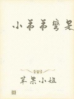 小弟弟弯是什么封面