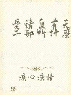 爱情自有天意第二部叫什么