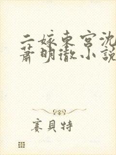 二嫁东宫沈雨燃萧明彻小说免费阅读全文封面