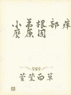 小弟根部痒是什么原因