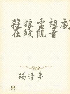 杀狼电视剧全集在线观看