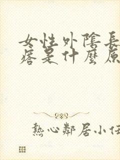 女性外阴长小疙瘩是什么原因