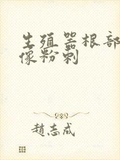 生殖器根部上有像粉刺