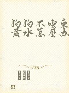 狗狗不吃东西拉黄水怎么办