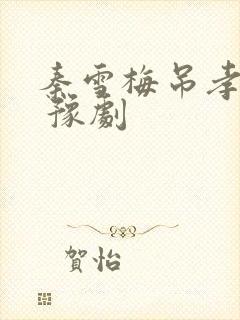 秦雪梅吊孝全场 豫剧