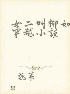 女二叫柳如烟的穿越小说