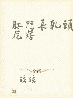 肛门长乳头状肉疙瘩