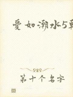 爱如潮水5韩国