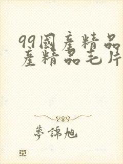 99国产精品国产精品毛片封面