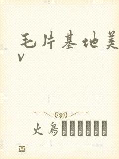 毛片基地美国av