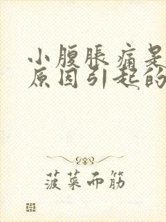 小腹胀痛是什么原因引起的女性