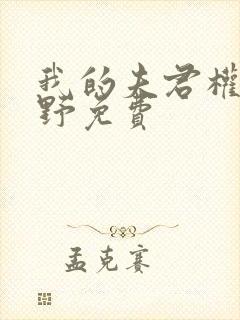 我的夫君权倾朝野免费