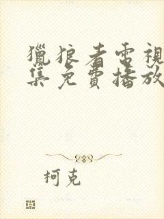 猎狼者电视剧全集免费播放封面