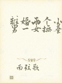 离婚两个小孩一男一女抚养权怎么判定