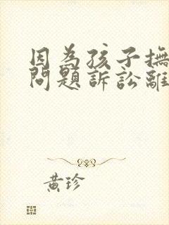 因为孩子抚养权问题诉讼离婚怎么弄封面