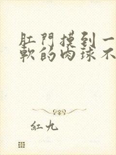 肛门摸到一个软软的肉球不痛不痒封面