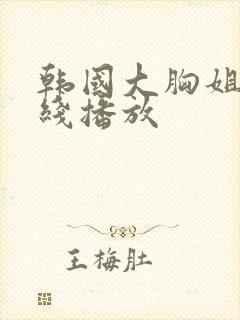 韩国大胸姐姐在线播放