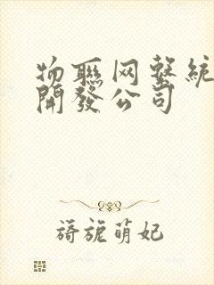 物联网系统定制开发公司