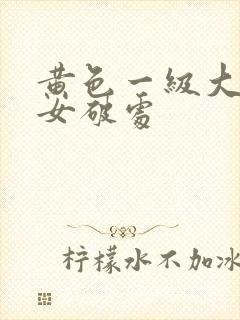 黄色一级大片处女破处