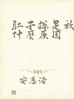 肚子总是放屁是什么原因封面