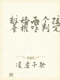 离婚两个孩子抚养权咋判定